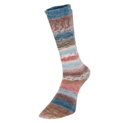 Evolution Celebration Sock - Image 3