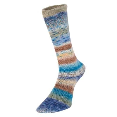 Evolution Celebration Sock - Image 4