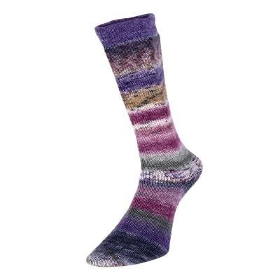 Evolution Celebration Sock - Image 5
