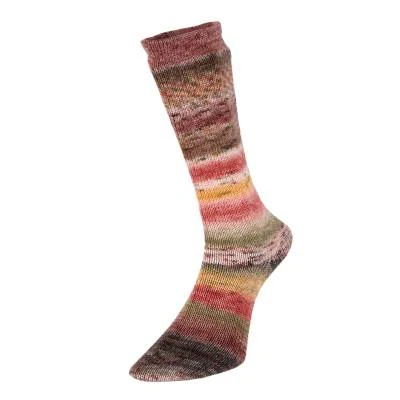 Evolution Celebration Sock - Image 6