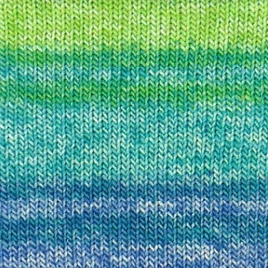 Evolution Sock - Image 6