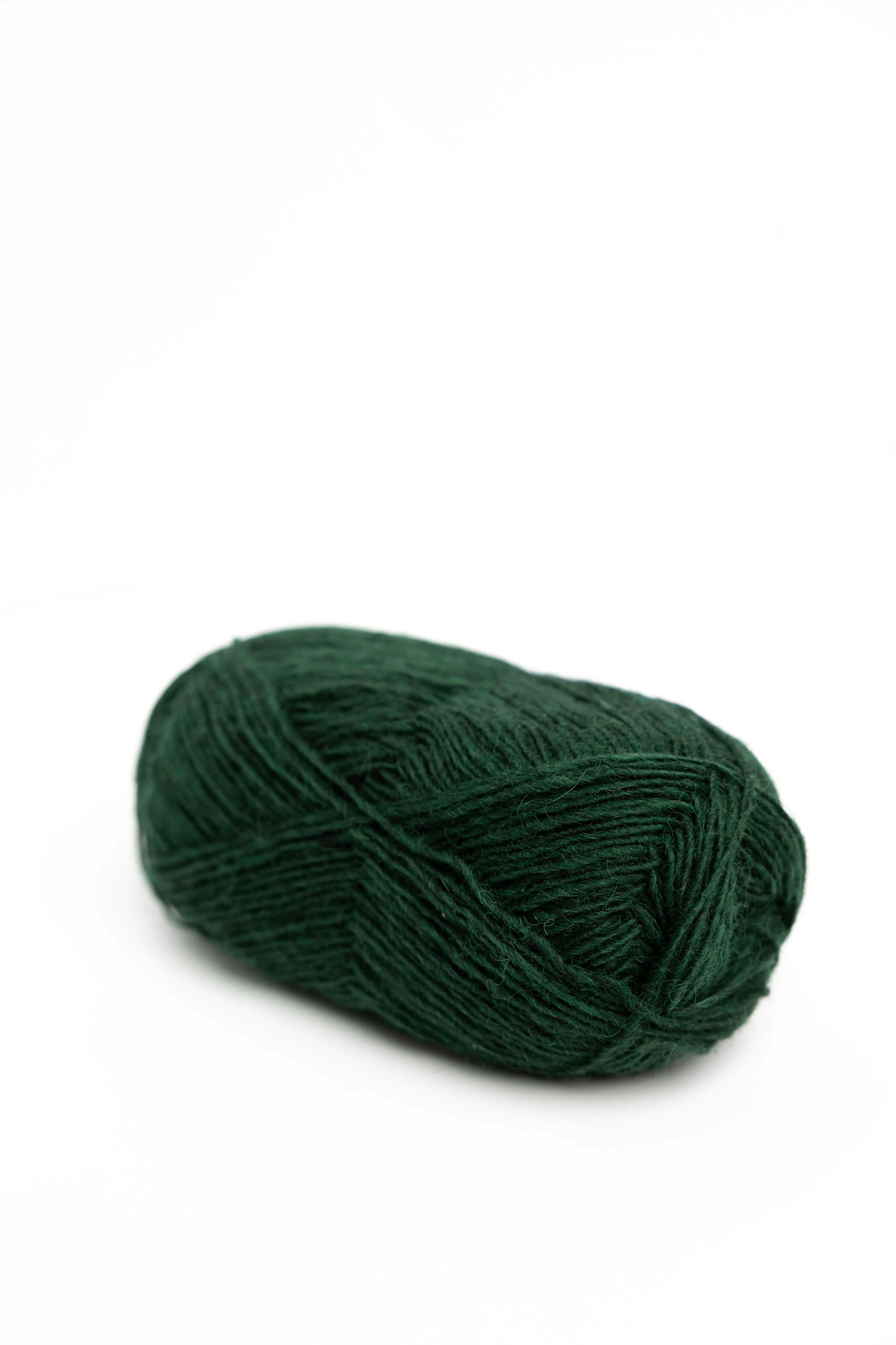 Fjallalopi - Image 12