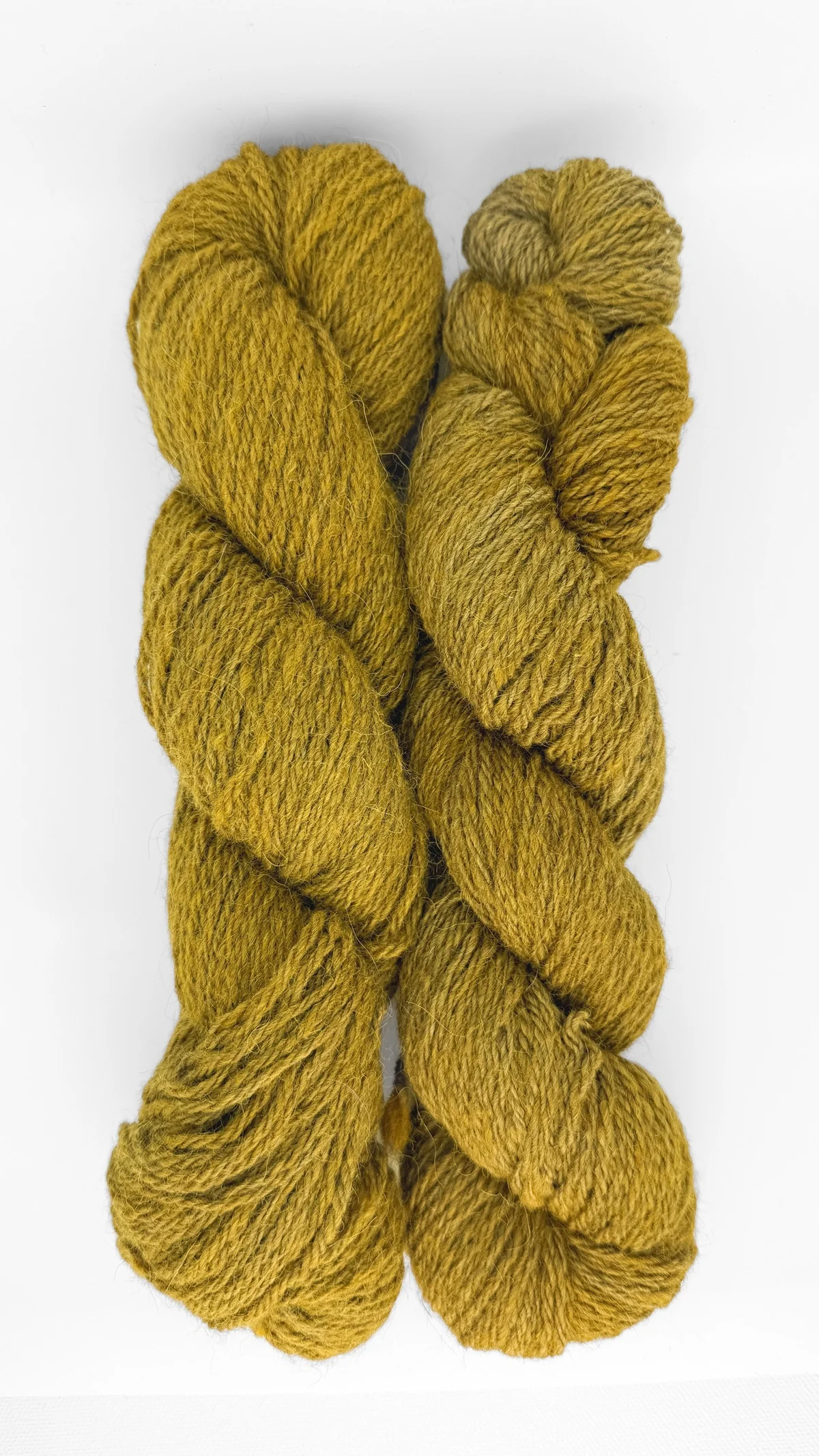 Hazel - Image 3