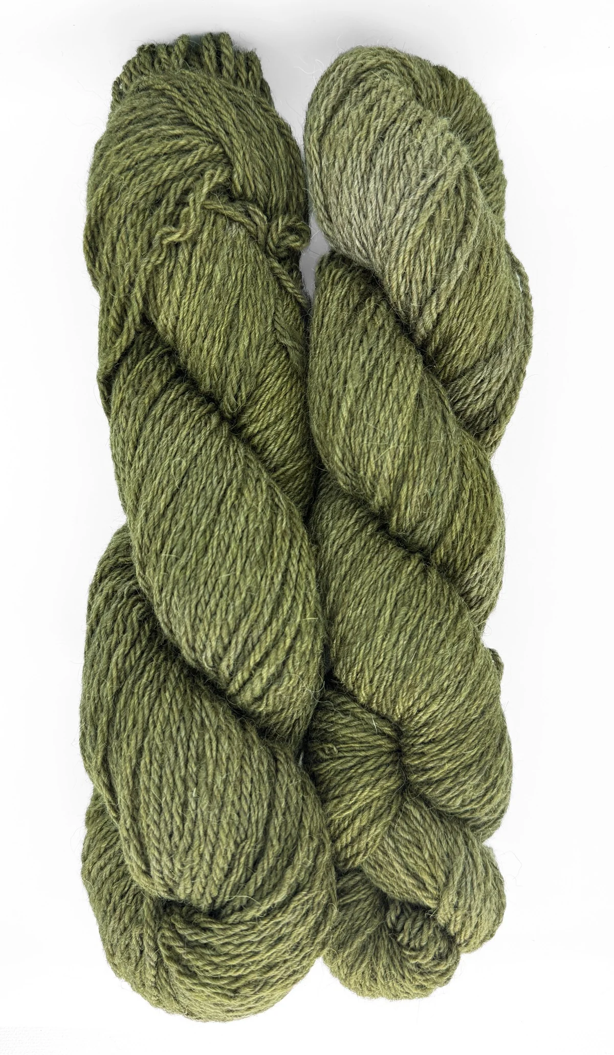 Hazel - Image 4
