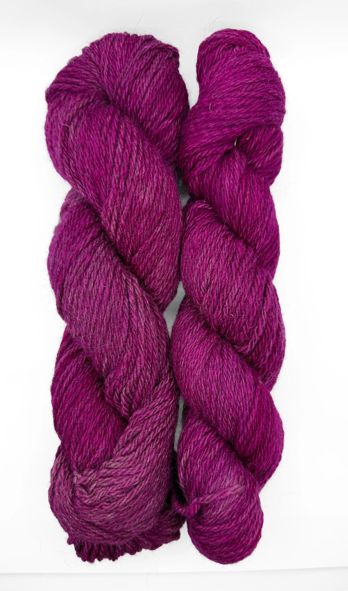 Hazel - Image 5