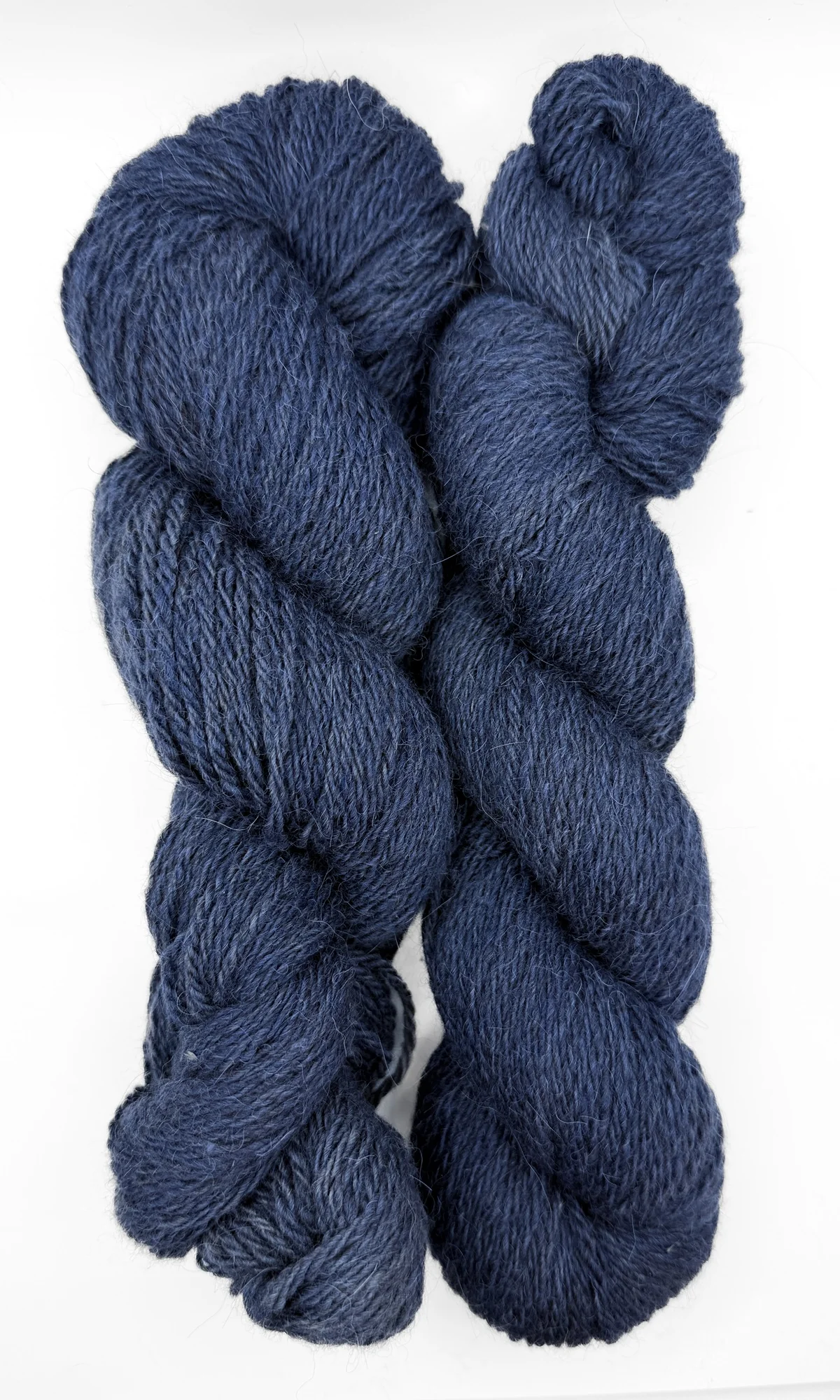 Hazel - Image 6