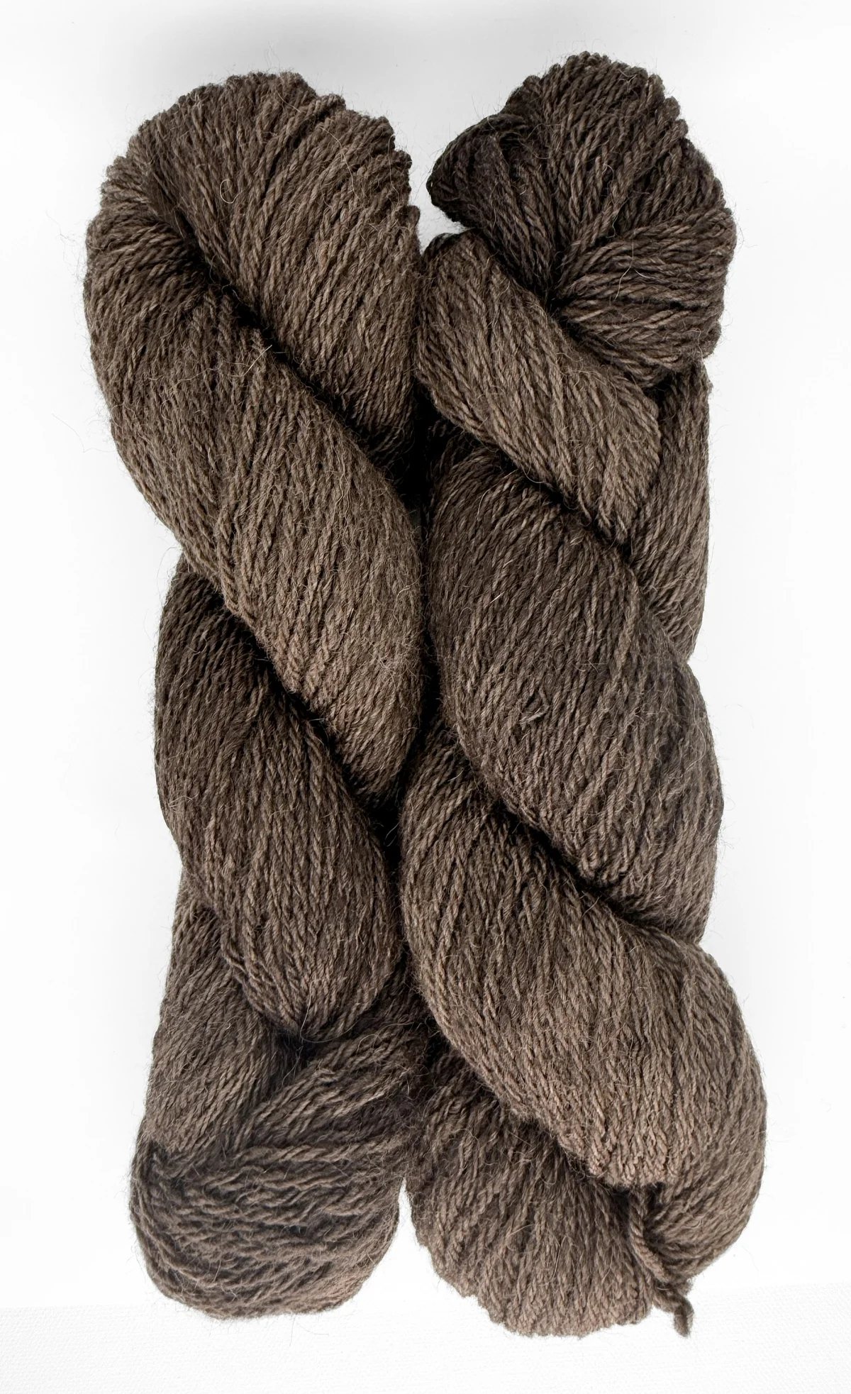 Hazel - Image 7