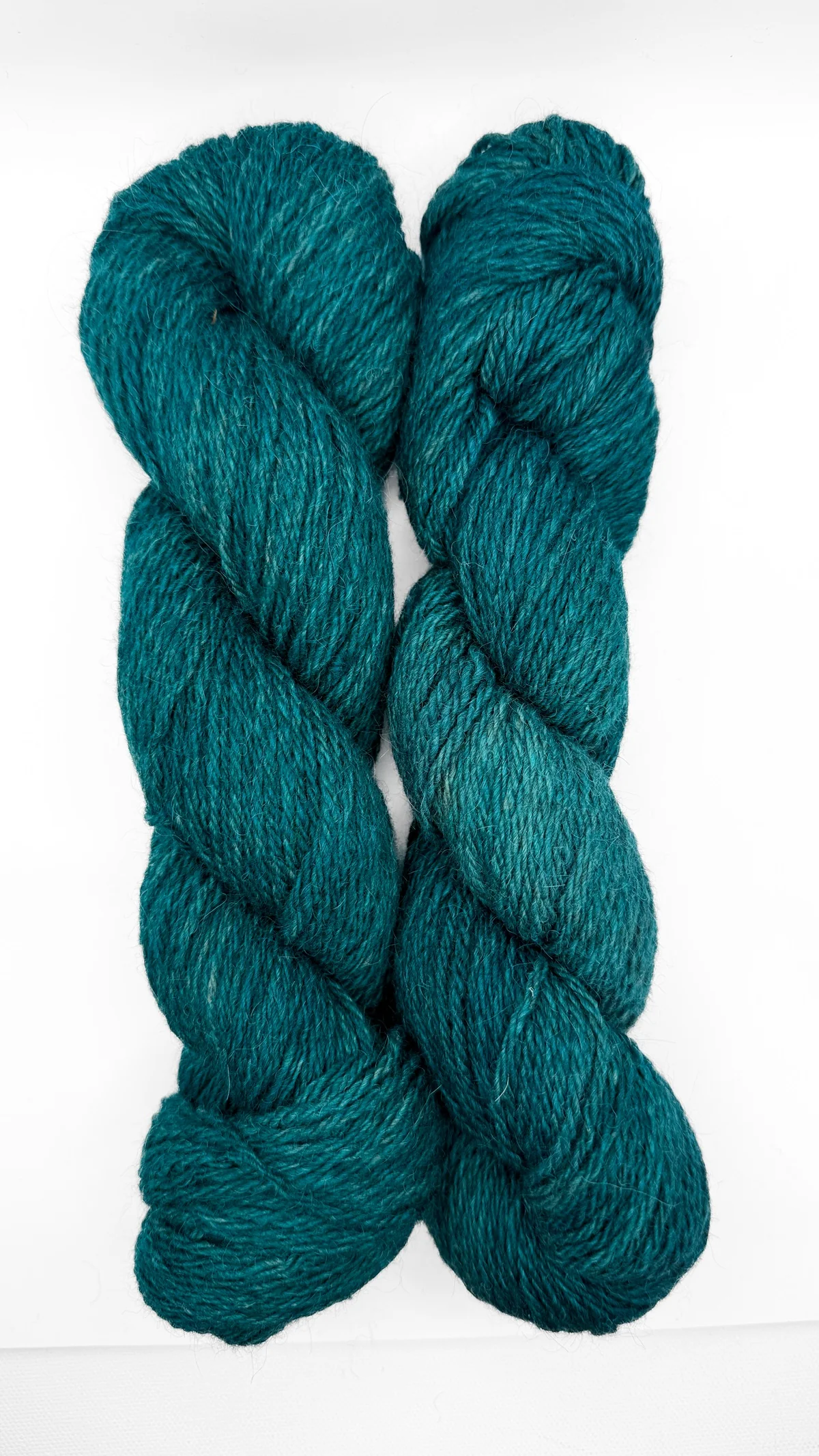 Hazel - Image 8