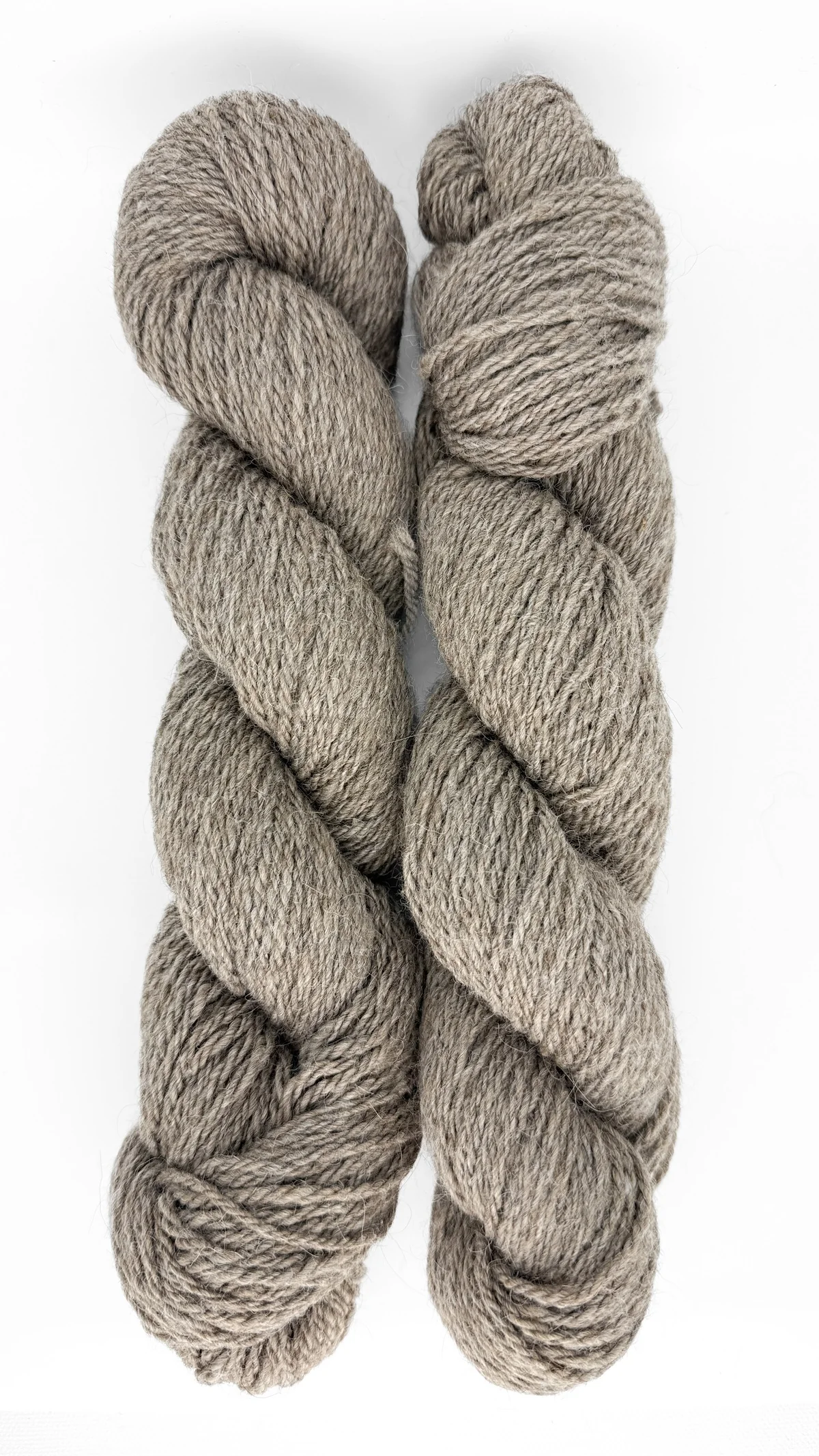 Hazel - Image 9