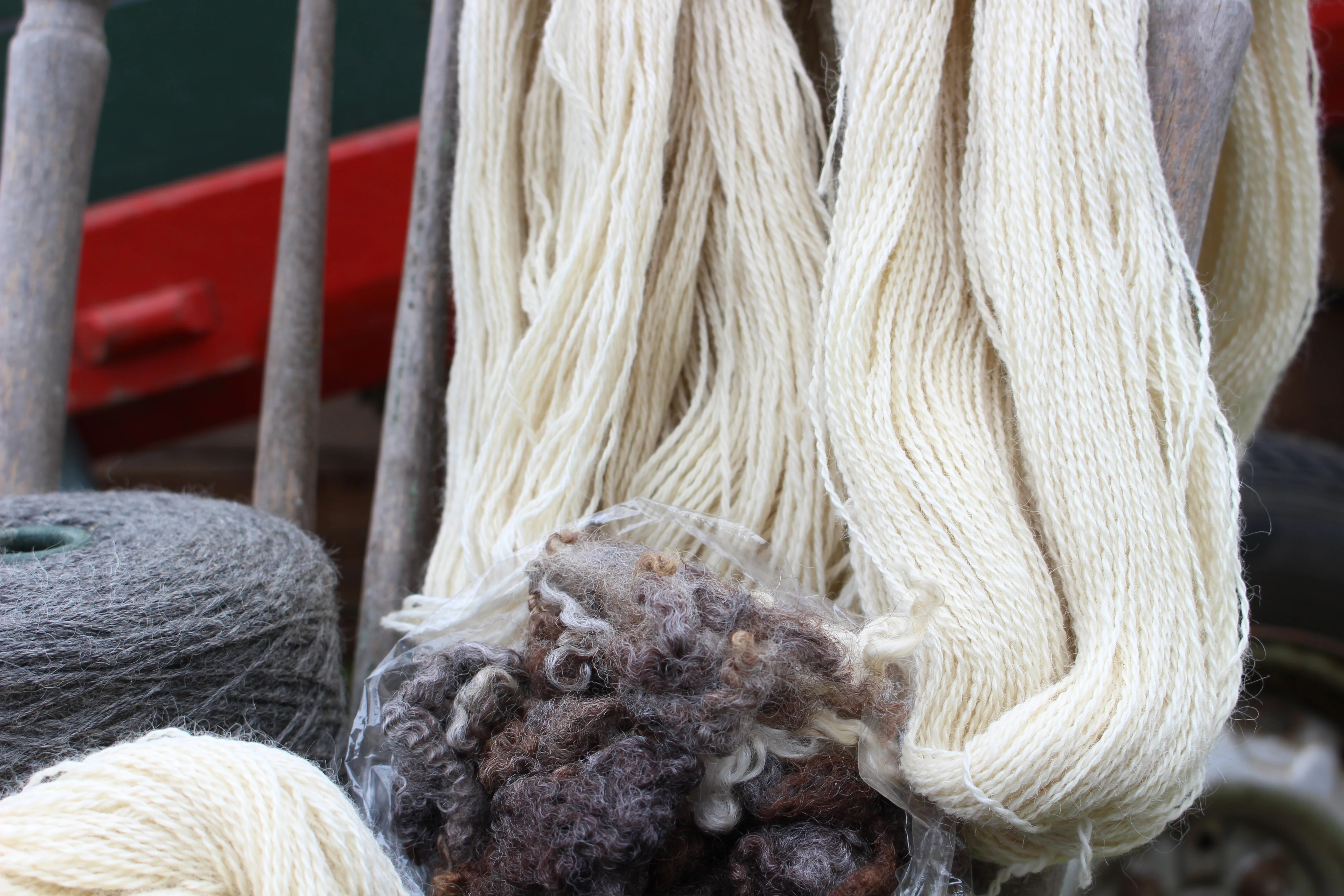 Farming on Pender Island: Martha McMahon of Inish Eile Farm - Image 5