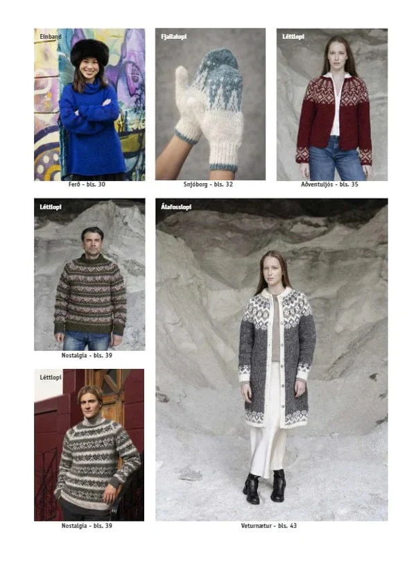Lopi Book #44 Wintertime - Image 5