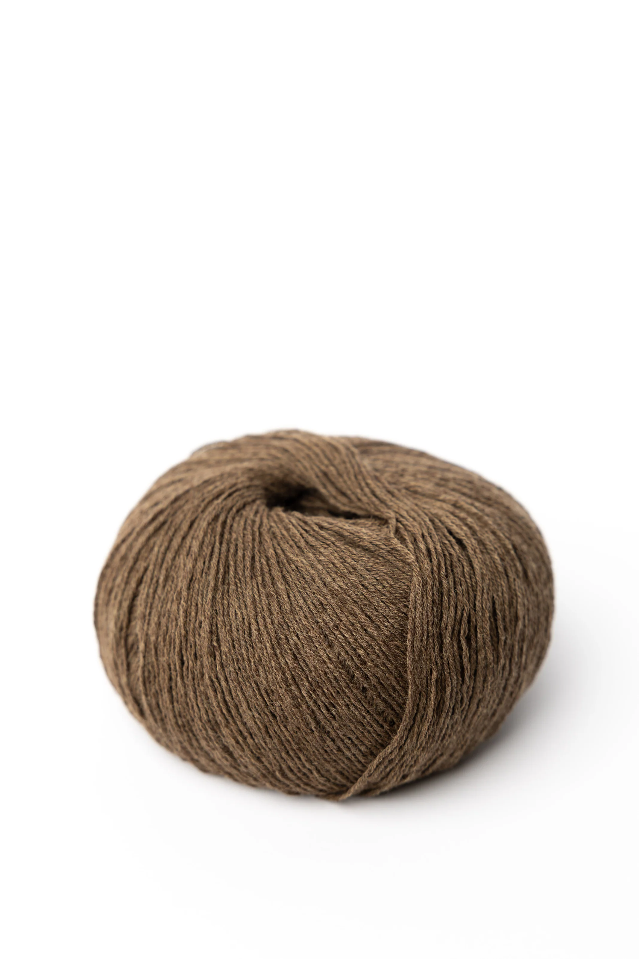 Merino - Image 3