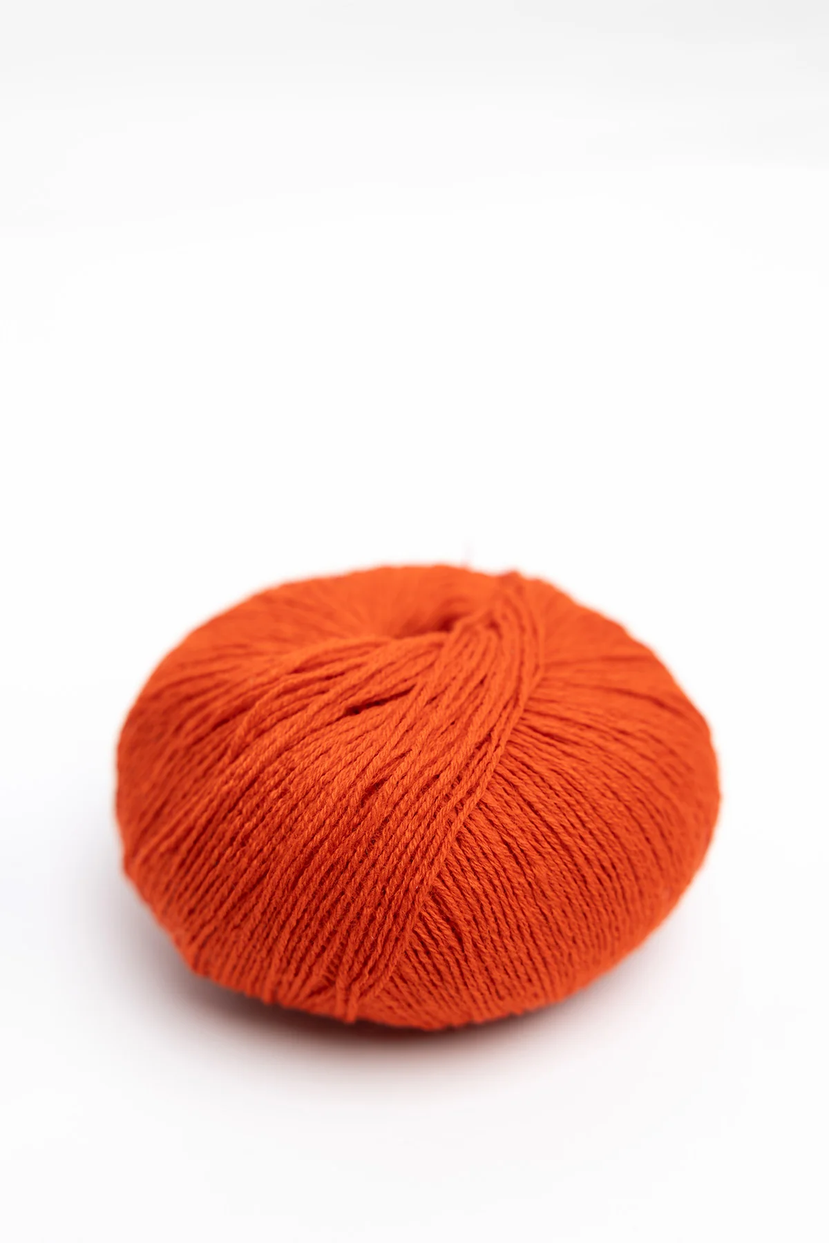 Merino - Image 4