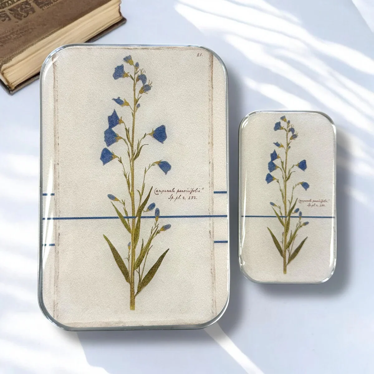 Notions Tin - Image 6