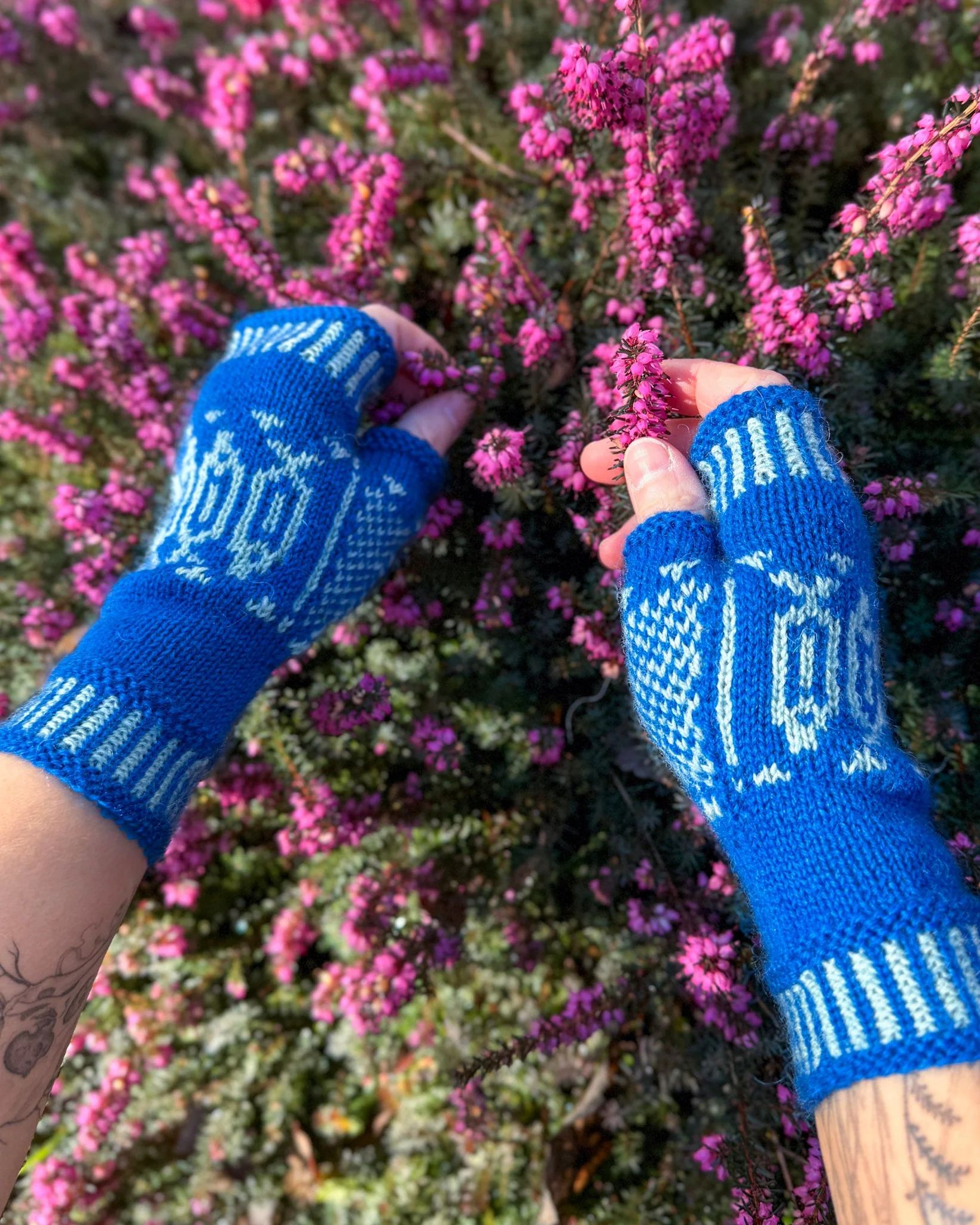 Old Salt Mitts - Image 7