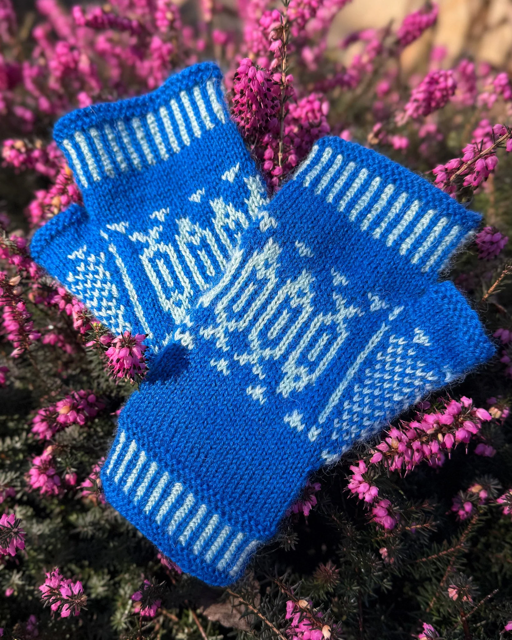 Old Salt Mitts - Image 9