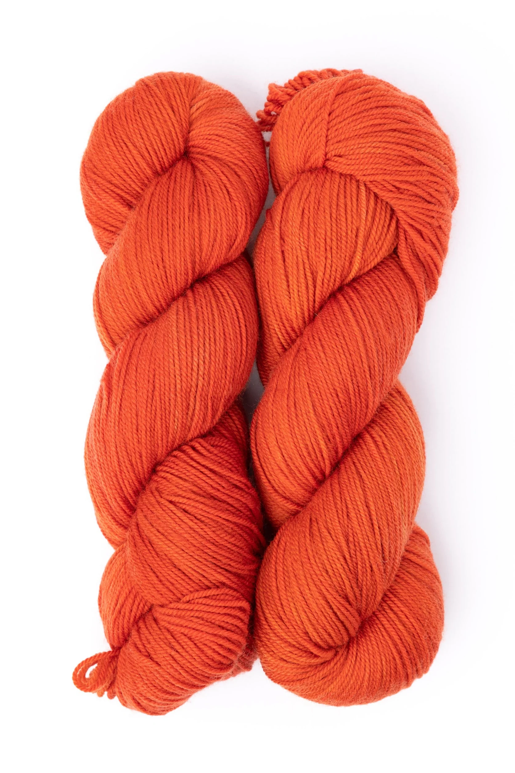 Socknado - Image 36