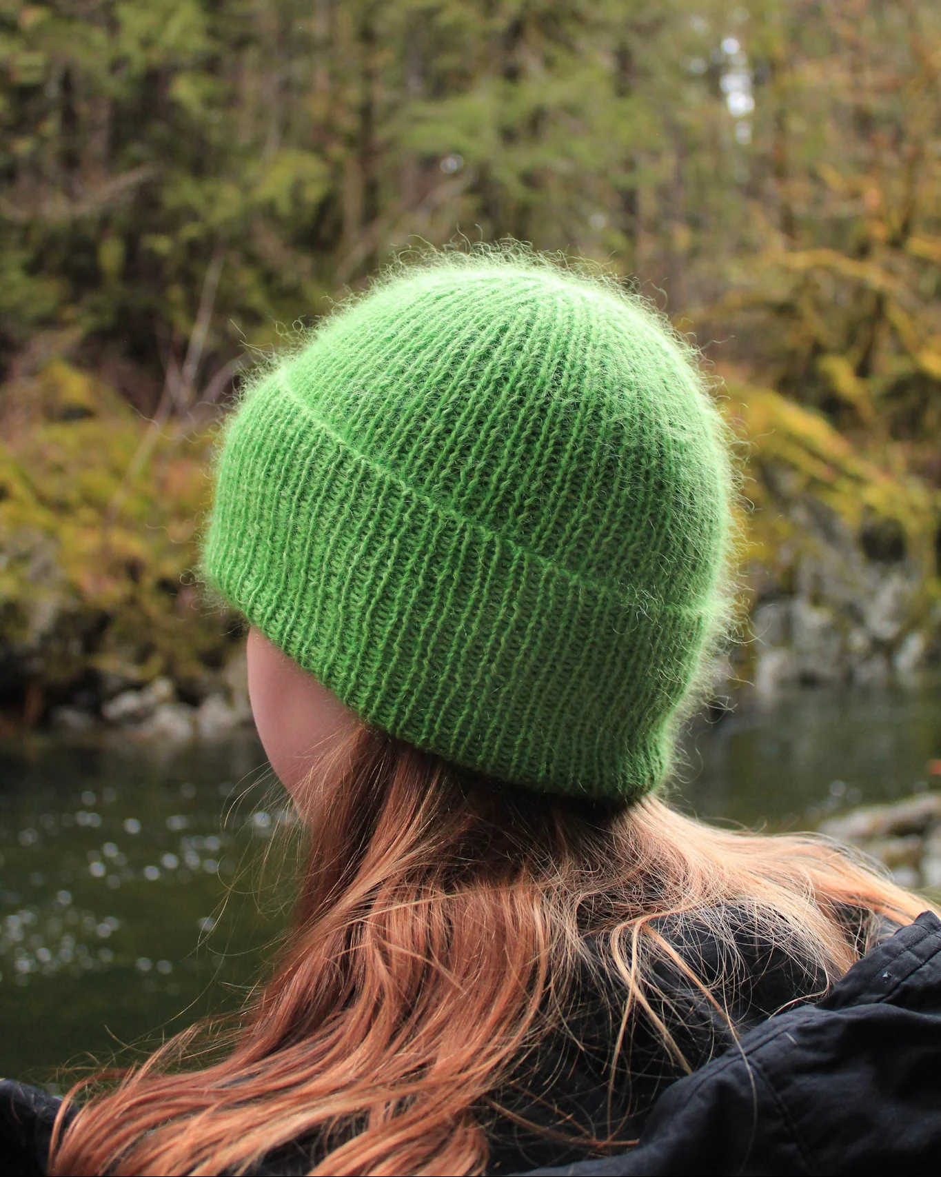 Trusty Toque: Bottom-Up - Image 4