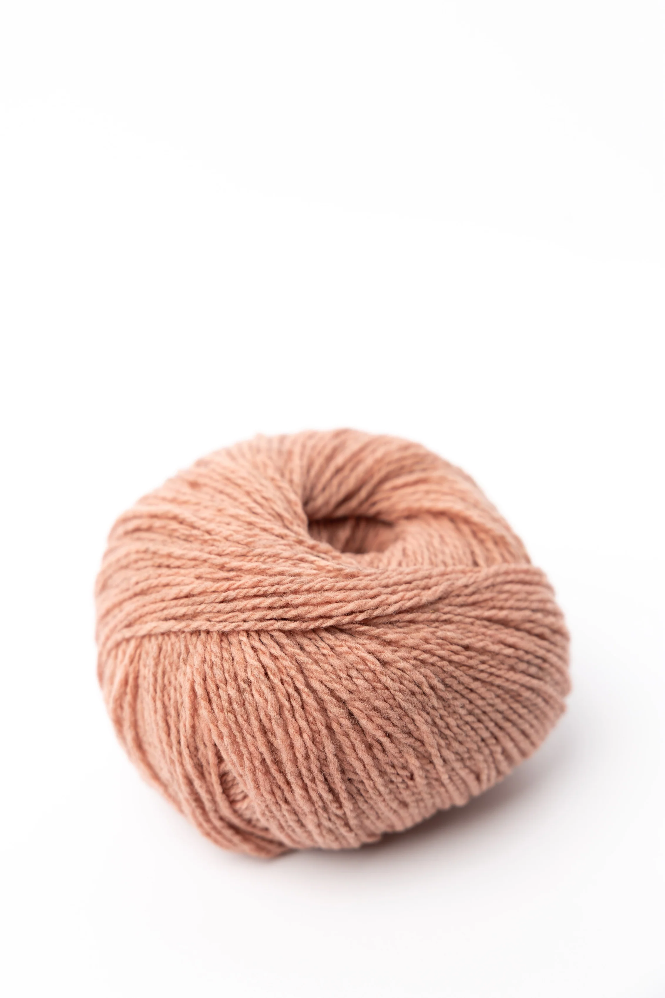 Ulysse - Image 3