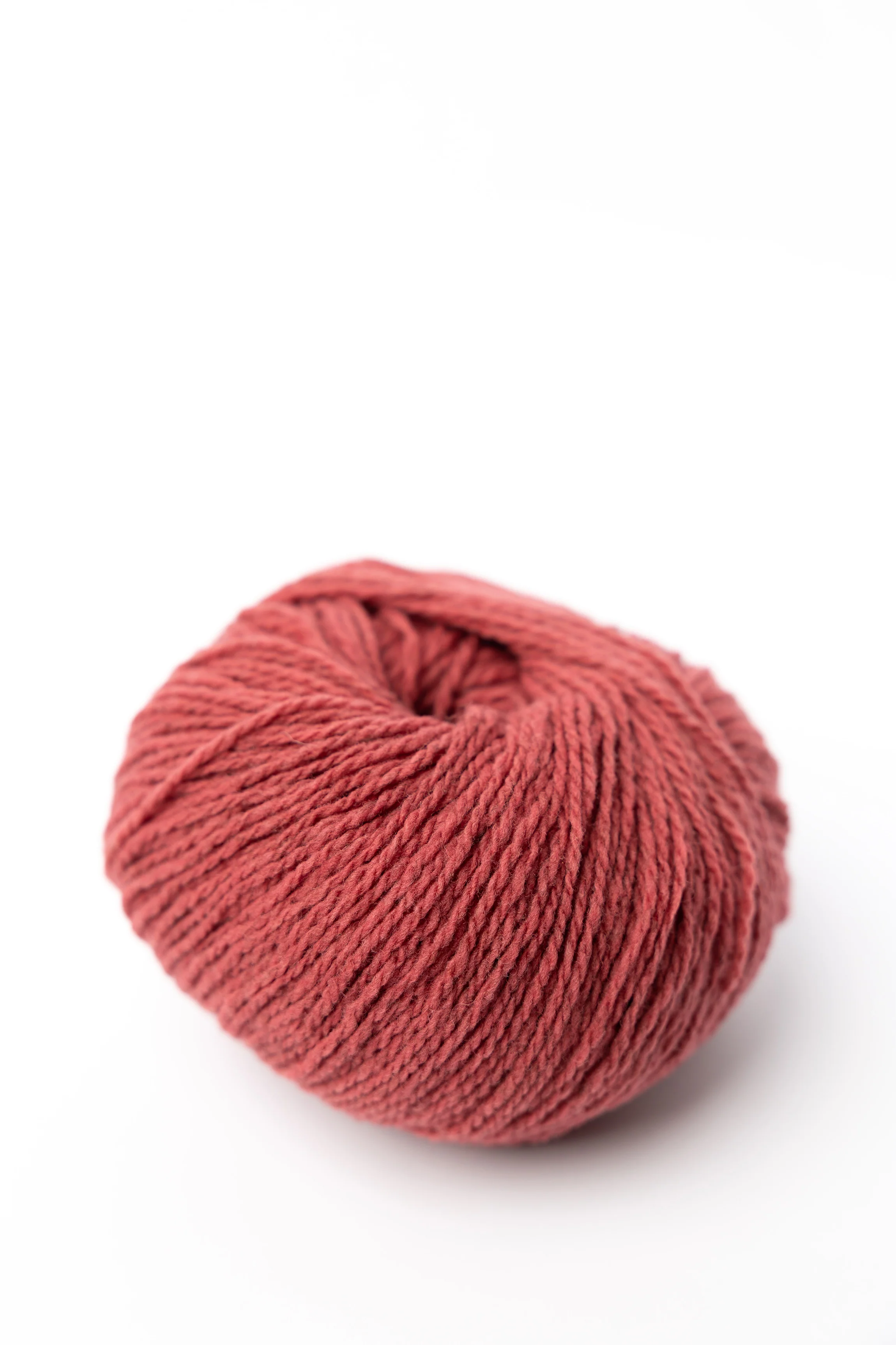 Ulysse - Image 7